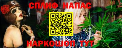 спиды Волгодонск