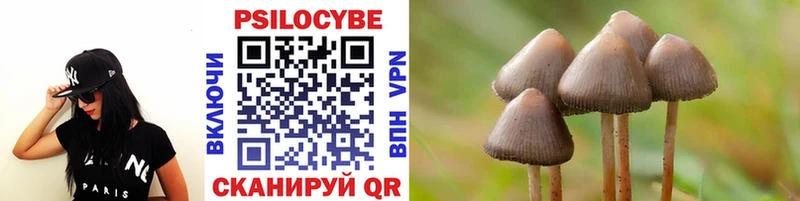 Псилоцибиновые грибы Cubensis  где можно купить   Майский 