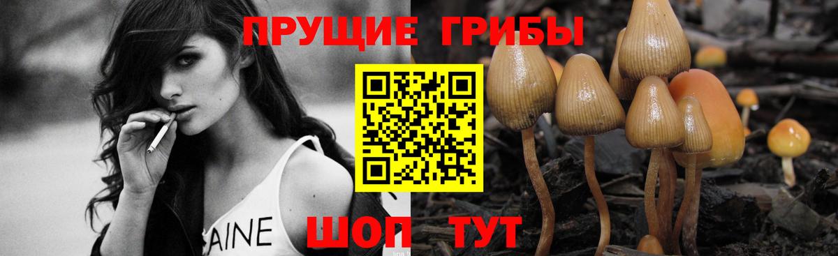 Галлюциногенные грибы Psilocybine cubensis  Вход с VPN  Майский 